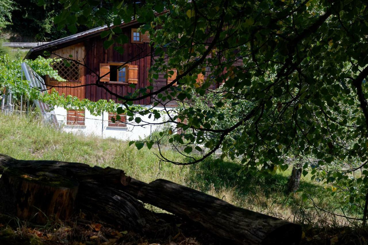 Landhaus Tenne Bartholomäberg Екстериор снимка